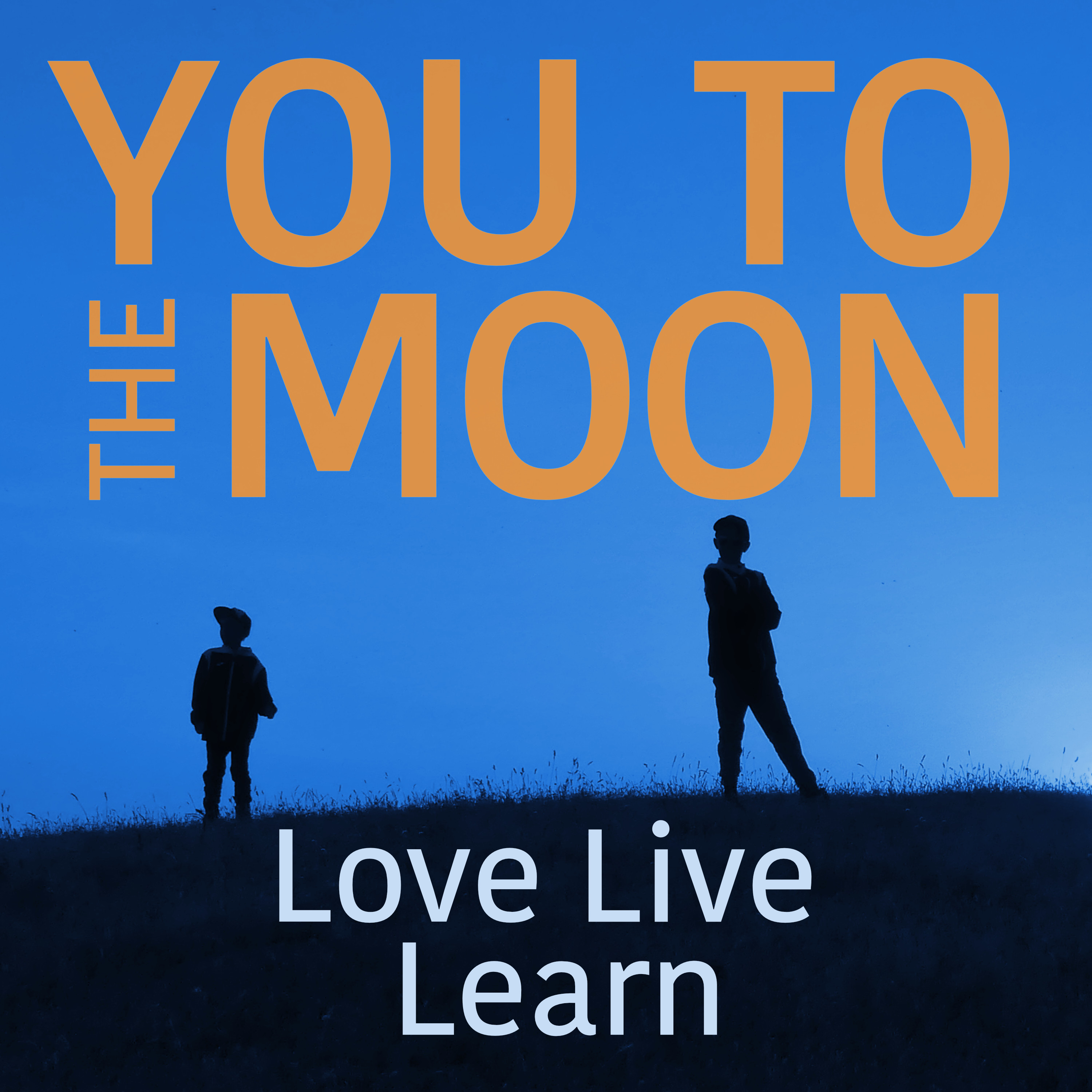 YouToTheMoon Love Live 1-4-10.jpg