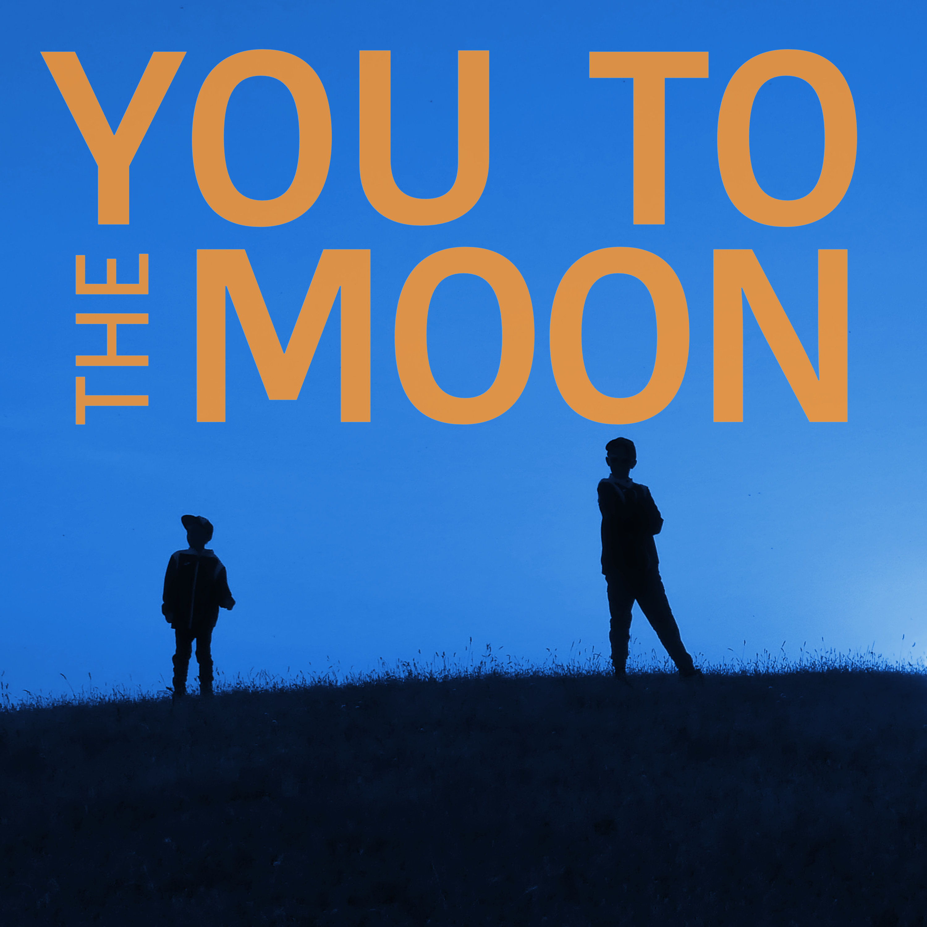 YouToTheMoon Love Live BLANK 1-4-11.jpg